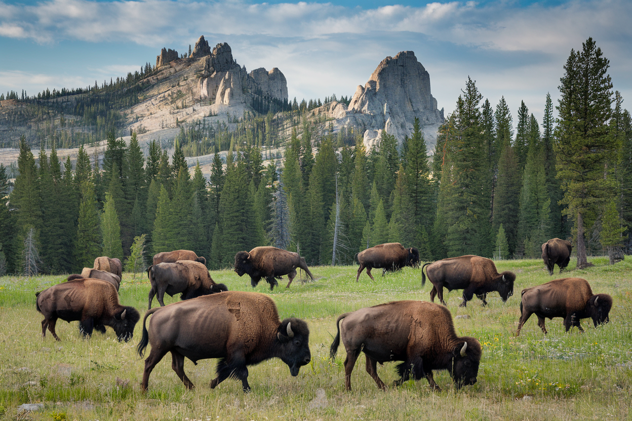 Pool and recreation area